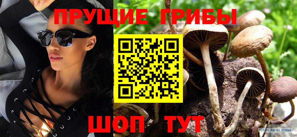 Кыштым  Псилоцибиновые грибы мухоморы  Вход с VPN 